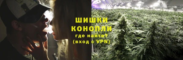 a pvp Новозыбков