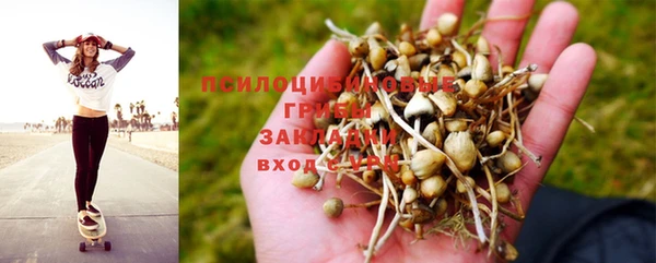 ALPHA PVP Новокубанск