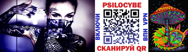Псилоцибиновые грибы прущие грибы Юрьев-Польский